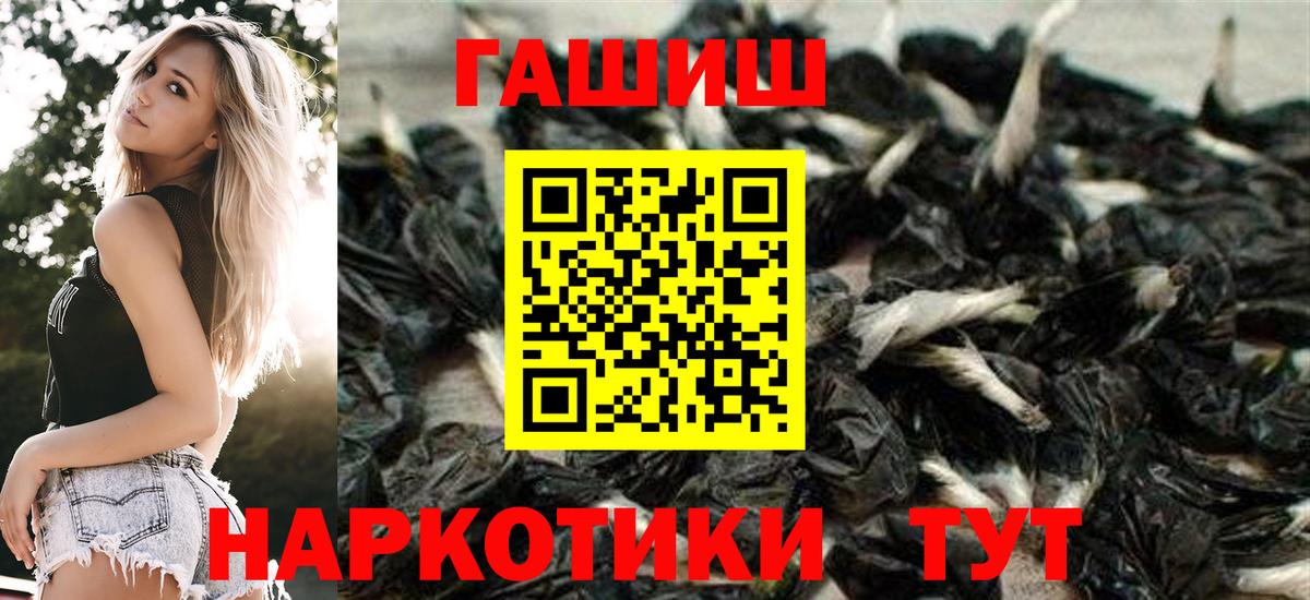 Гашиш Изолятор Гай