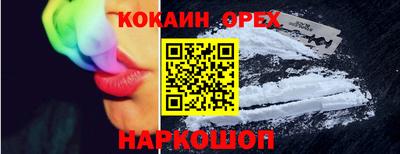apvp Гатчина