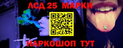 apvp Гатчина