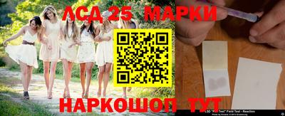 apvp Гатчина