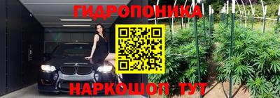 apvp Гатчина