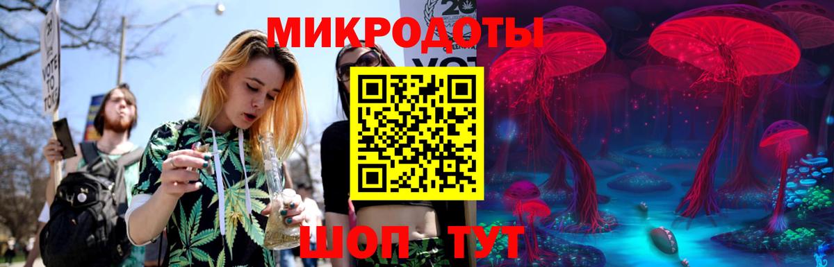 Псилоцибиновые грибы Cubensis  Вход с VPN  Гай 